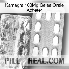 Kamagra 100Mg Gelée Orale Acheter new12